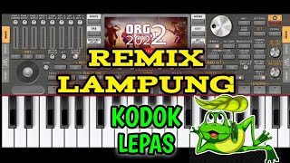 REMIX LAMPUNG KODOK LEPAS | ORG 2022