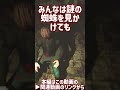 【海外ホラー】謎の蜘蛛を保護したらとんでもないことになってしまった…【ゆっくり実況】 #shorts #ホラーゲーム #horror