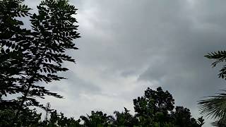 Kondisi Pertanian Khusus Di Desa Selesai Dusun Stabor Langkat