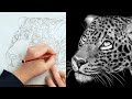 Satisfying Art | Animales | Domestika