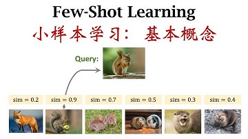 Few-Shot Learning (1/3): 基本概念