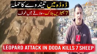 "Leopard Attack in Doda: Seven Sheep Killed, Family Devastated as Locals Fear for Safety."