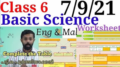 Class 6 Basic Science Worksheet 7/9/21|STD 6 Basic Science Worksheet 7/9/21|Activities|@educutz131