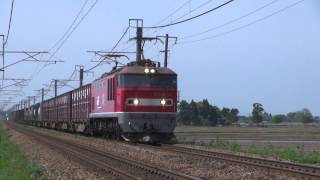 【信越本線】 4095ﾚ－EF510 12+コキ 2015.5.3