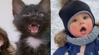 black cat saying huh original video