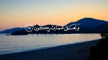 وَرَبُّكَ يَخْلُقُ مَا يَشَاءُ وَيَخْتَارُ ۗ مَا كَانَ لَهُمُ الْخِيَرَةُ ۚ ..... .(68) / سورة القصص