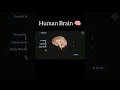 Human Brain 🧠#medicalstudent #viral #views #biology #physiology #viralvideo #ytshorts #yt
