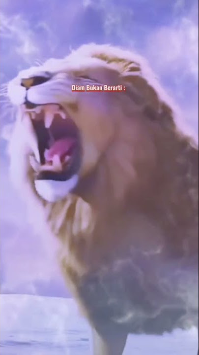 aku diam bukan berarti pengecut