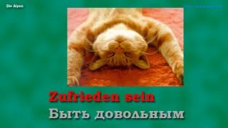 Урок 1/7. Немецкий язык с нуля. Местоимения. Спряжение глагола sein. Шипилова. Урок 1/7. Немецкий язык с нуля. Местоимения. Спряжение глагола sein. Шипилова.