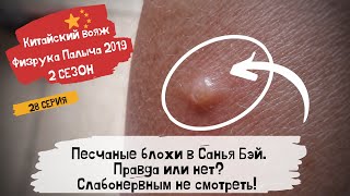 Китай Хайнань Санья 2019/ Песчаные блохи в Санья Бэй укусы/ ТРЭШ и ШОК/ 28 серия