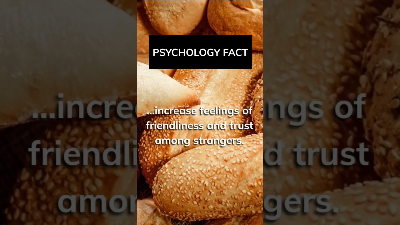 The smell of freshly baked bread… 🥖 