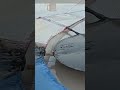 “World’s Most Creative Kite Design”