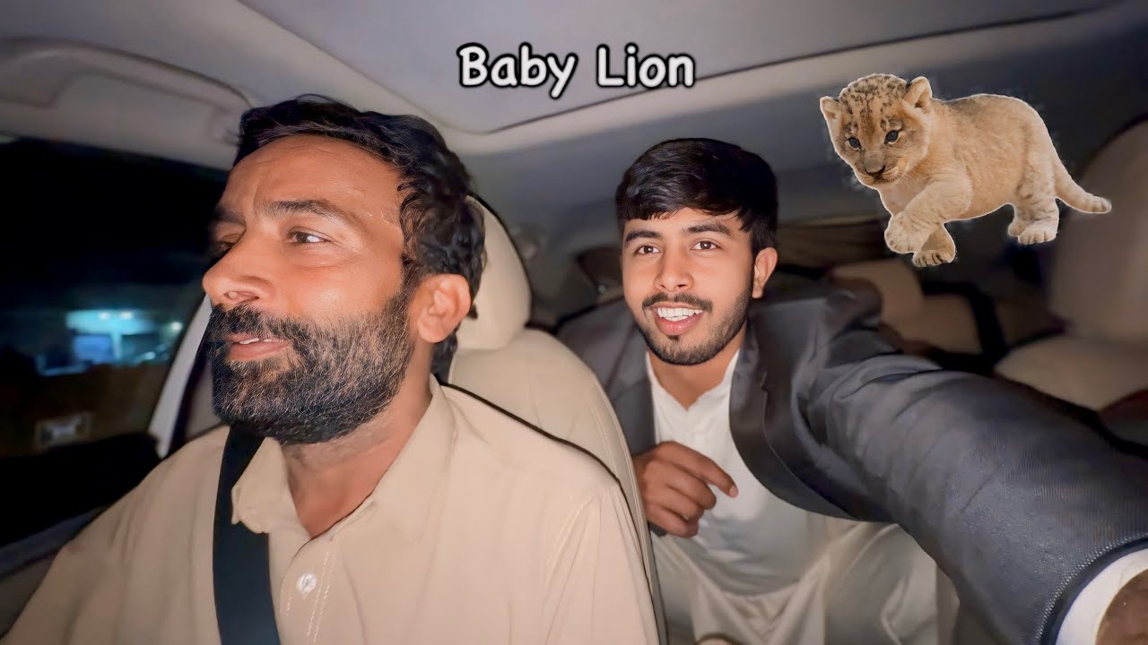Baby Lion Ka Kiya Bana 🤔 Zohaib Pendu | Zohaib Sabir Vlogs