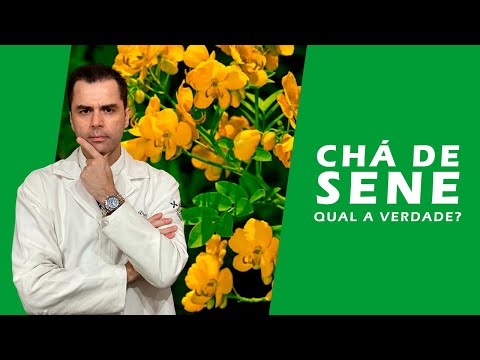 Vídeo: Senna - Propriedades úteis De Senna, Laxante De Erva Senna Para Perda De Peso, Contra-indicações