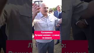 Лукашенко:Лучшее молоко-у меня на ферме! #молоко #коровы #качество #батька #цитаты #лукашенко #ферма