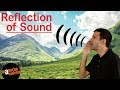 Reflection of Sound (Physics)