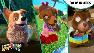 Moley's Doggy Adventures 🐾 | 30-Minutes of Moley | 3 Episodes of Moley