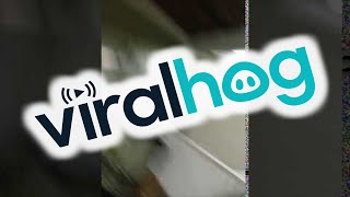 Man Sent Screaming as Lightning Strikes Right by House || ViralHog