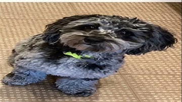 VEGETABLE STRIDE SUNSHINE VIDEO POTENTIAL HURT DRAIN