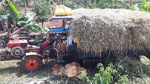 Xe công nông độ đẹp nhất chở lúa lên dọc cực khỏe