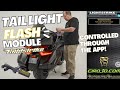 Goldstrike Tail Light Flash Module with Lightstrike!