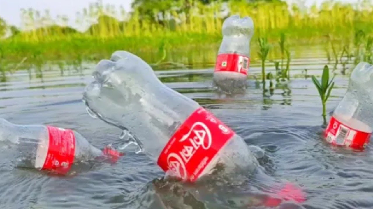 Best Hook Fish Trap।  Plastic Bottle Fish Trap।  Many Plastic Bottle Fishing Method