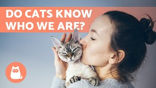 DO CATS RECOGNIZE US?  Find out!