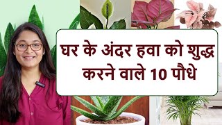 🔴AIR PURIFYING INDOOR OXYGEN BEDROOM PLANTS हवा शुद्ध करने वाले पौधे #airpurifyingplants #plants by Voice of plant 774,842 views 6 months ago 20 minutes