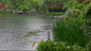 The beautiful little river is raining(188) , sleep, relax, meditate, study, work, ASMR