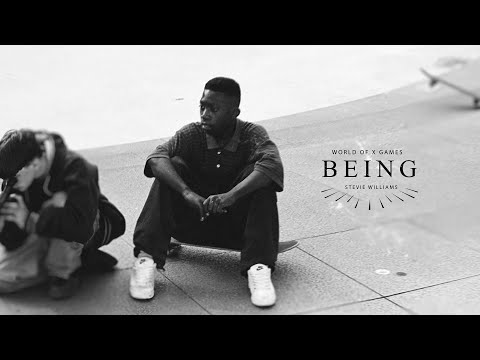 DGK - Being Stevie Williams