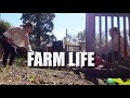 Farming with granny bubz