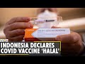 Indonesian clerics declare Sinovac's vaccine 'Halal' | China | COVID-19 Vaccine | World News