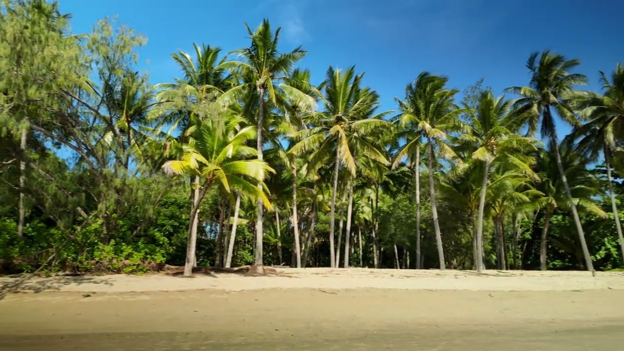 Kewarra Beach about to get some TLC