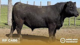 Video: Toro Angus Rp C486