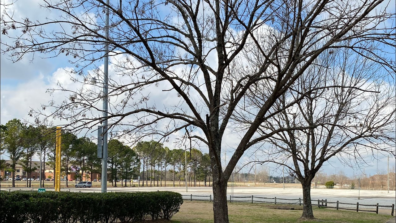 Let’s walk & talk in the park! 