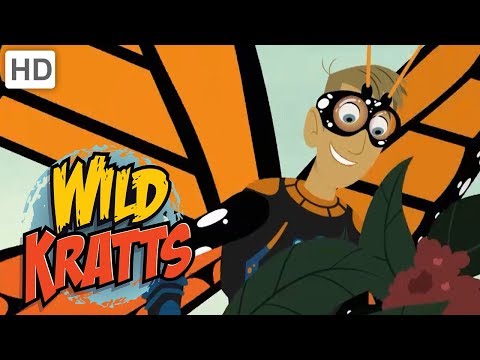 Wild Kratts - Spread Your Little Wings 🦋🦇 | Kids Videos