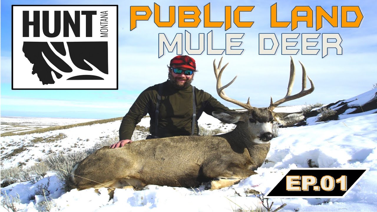 Hunt Montana Public Land Mule Deer EP 1 YouTube