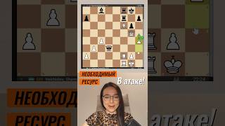 Важный атакующий ресурс! Вохидов - Непомнящий, 9 тур, Uzchess cup 2025 #shorts #шахматы #chess