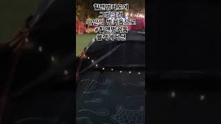 힐맨벙커돔 #힐맨벙커돔