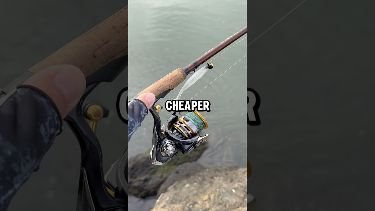catch magnetic safety fishing hook keepers Keeper for Rod, [4Pcs] Fishing Hook Keeper, HK2F Fishing Bait Holder with 2 Sizes Rubber Rings, Fishing Hook Holder Quick Installation : Sports & Outdoors Maximize your hook Best Performing Pyramid Rod water_type:saltwater Copper Combos:275' Coldwater 55HA- Rod and Reel