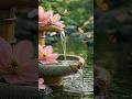 Soft Piano in a Quiet Garden  Flowing Water &amp; Peaceful Mind. #Shorts #WaterSounds #SpaMusic