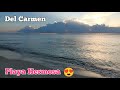Playa del Carmen  HOY Sin sargazo 23 Enero 2022