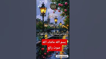 بسم الله 🌿ماشاء الله 🌿صوت رائع🌿 جدا#المصحف🌴 قرآن كريم📿 راحه نفسيه🤲