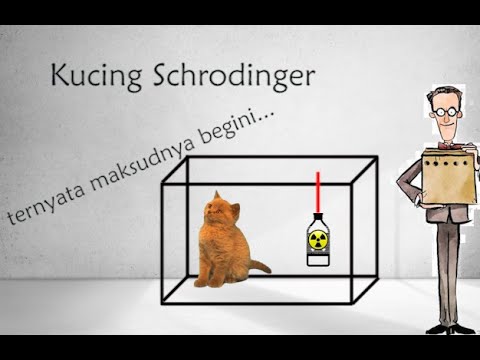 Video: Ahli Fizik Telah Membuat Drum Kuantum Mengenai Prinsip Kucing Schrödinger - Pandangan Alternatif