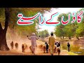 Villagelifestyal || Punjab Culture || Village Tv