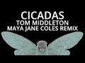 Cicadas - Tom Middleton (Maya Jane Coles Remix)