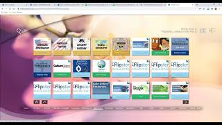 Full Using MCHS Databases Guide