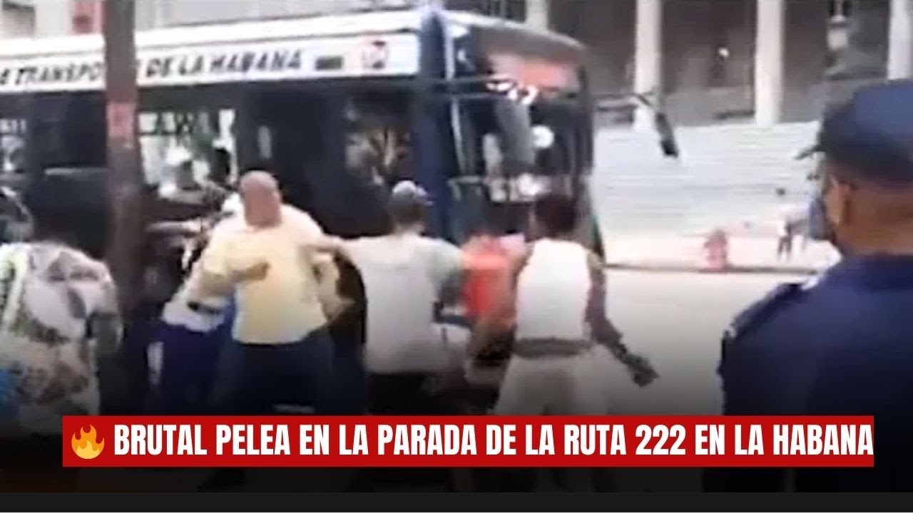 🔥 Brutal pelea en la parada de la ruta 222 en La Habana