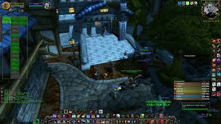 Raid 2 MC/BWL 7/9/2020