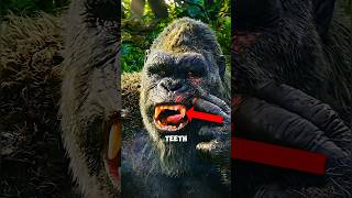 what actually happened with Kong’s tooth? #godzilla